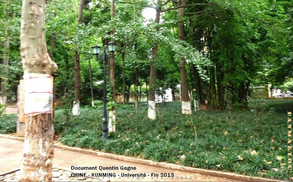 009-Quentin - Kunming .JPG